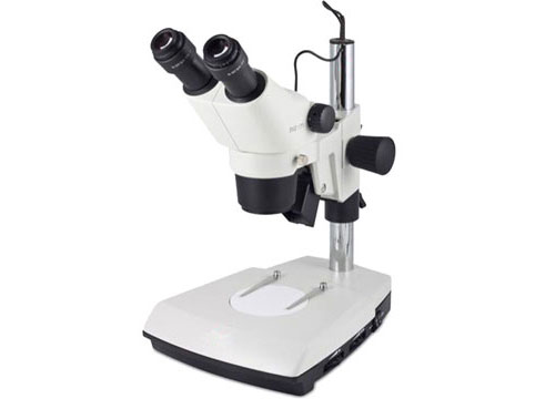 כיצד לבחור מיקרוסקופ-מיקרוסקופ סטריאו